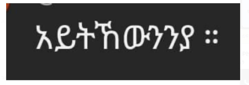 First Eritrean Opposition Webisite started 1996